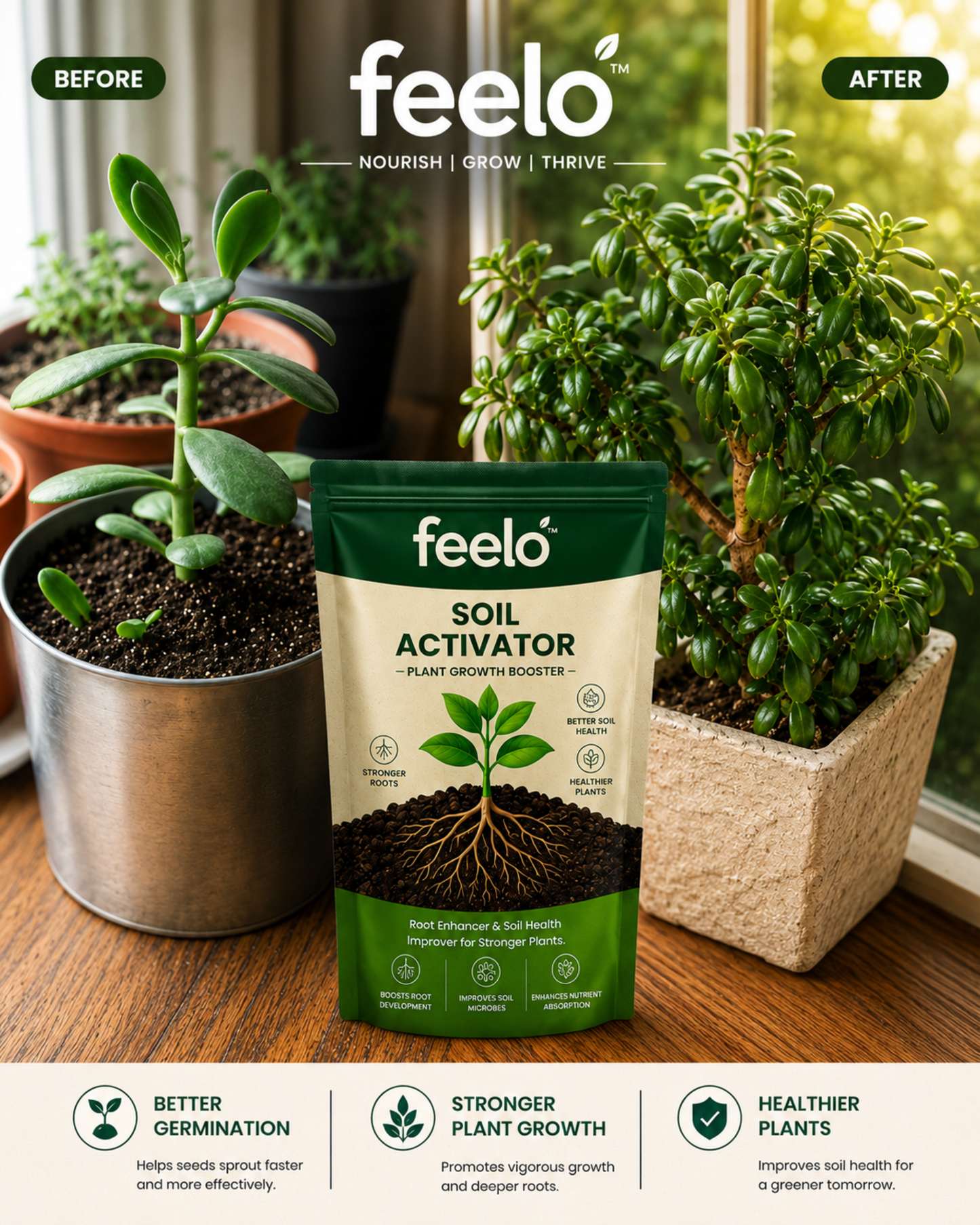 Feelo Soil Activator Nourish Soil Grow Stronger Plants