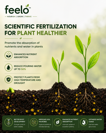 Feelo Soil Activator Nourish Soil Grow Stronger Plants